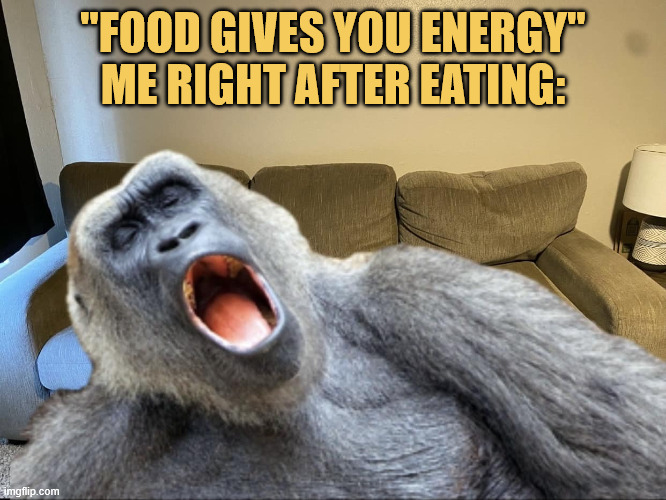 where is the energy? lol meme