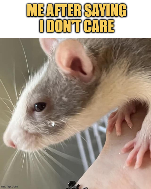 me for real meme