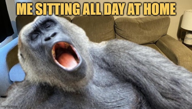 who is like me here? meme