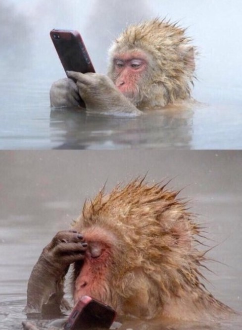 me after putting a 5$ sports bet meme