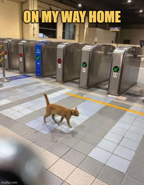 After slavery at work  meme