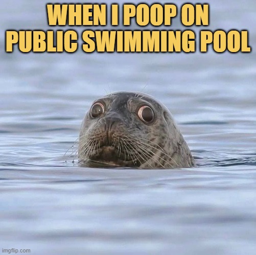 dirty and funny moment at swimming pool meme
