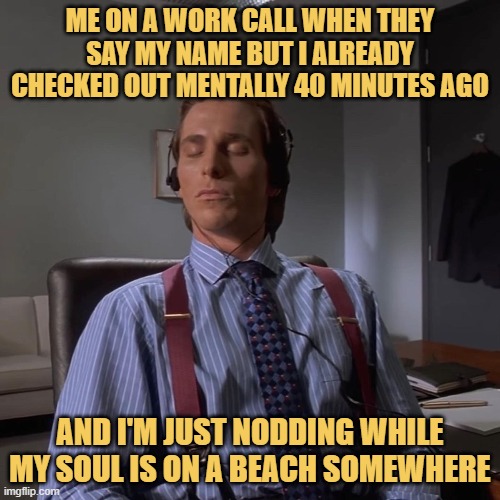 me on a work call when they say my name but i already checked out mentally 40 minutes ago meme