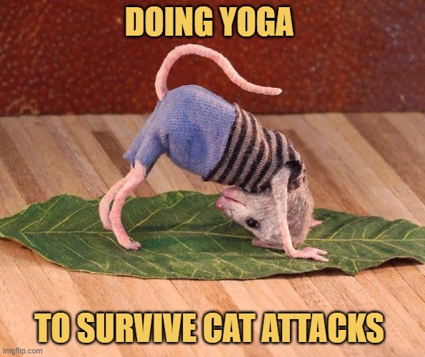 I will be super flexible