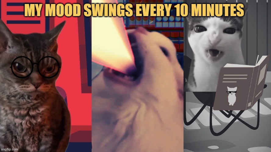 it is very unpredictable meme