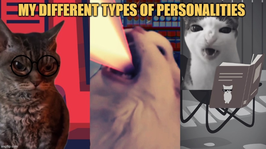 A visual of