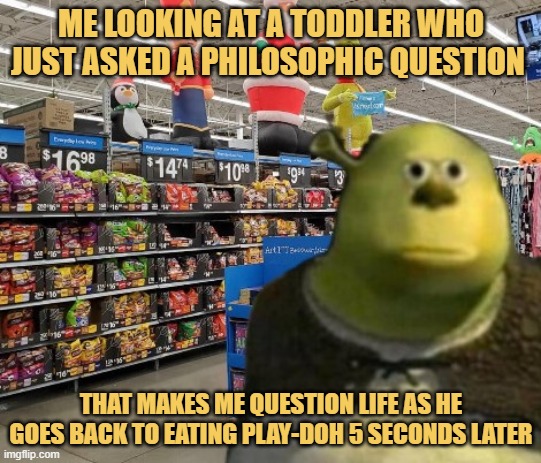 some kids do have knowledge meme