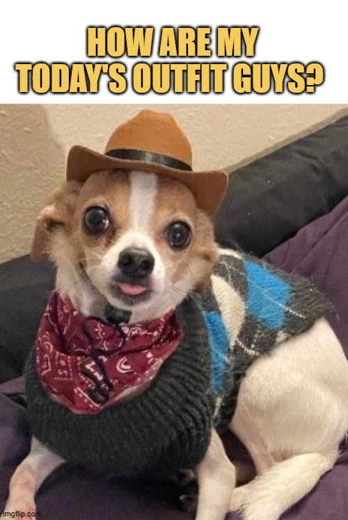 rate my outfit : ) meme