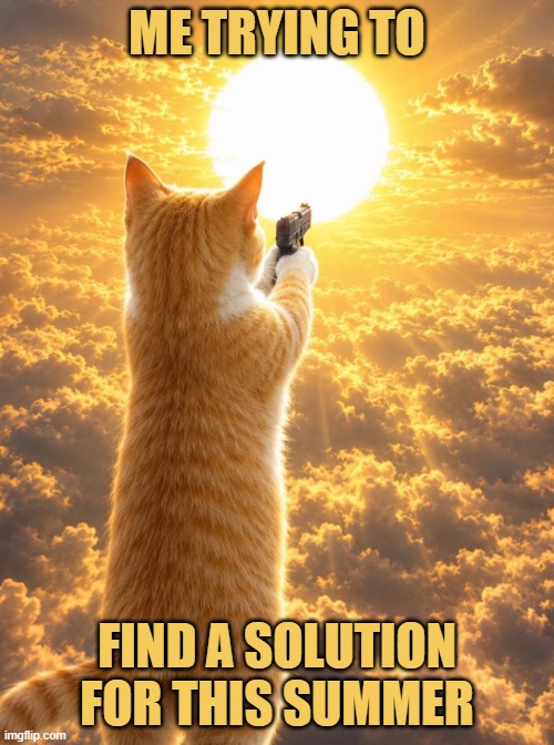 sun ... why are you gay? meme