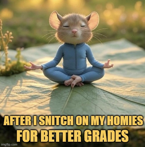 i turn on my essays :) meme
