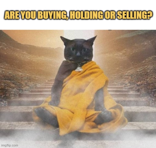 share your crypto plan? meme
