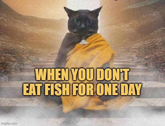 as a bangali i can't be a monk meme