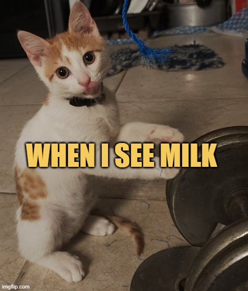 so delicious meme