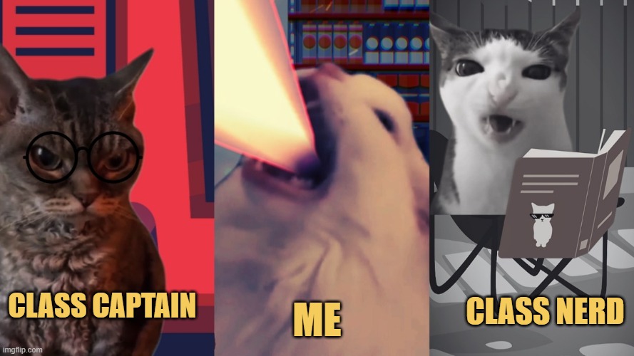 i am wicked meme