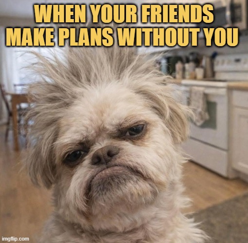 alright friend meme