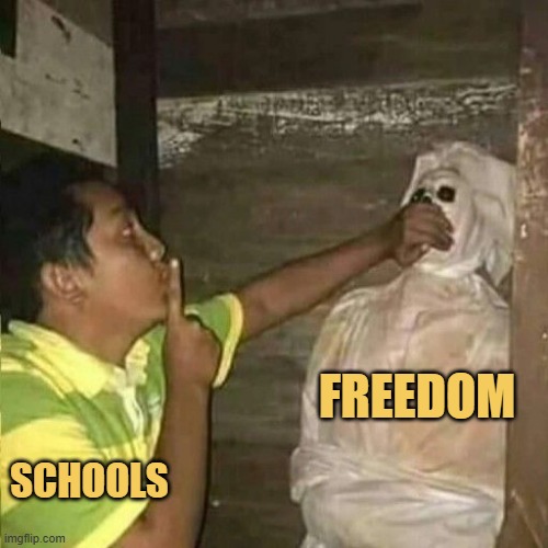 school kills freedom meme