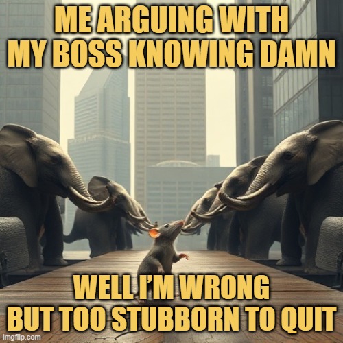 well I’m wrong but too stubborn to quit