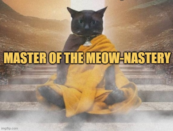 Respect your master