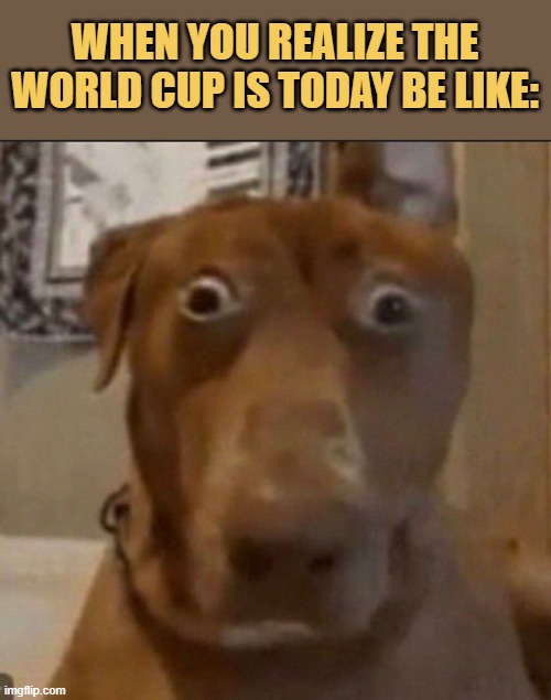wc is today meme