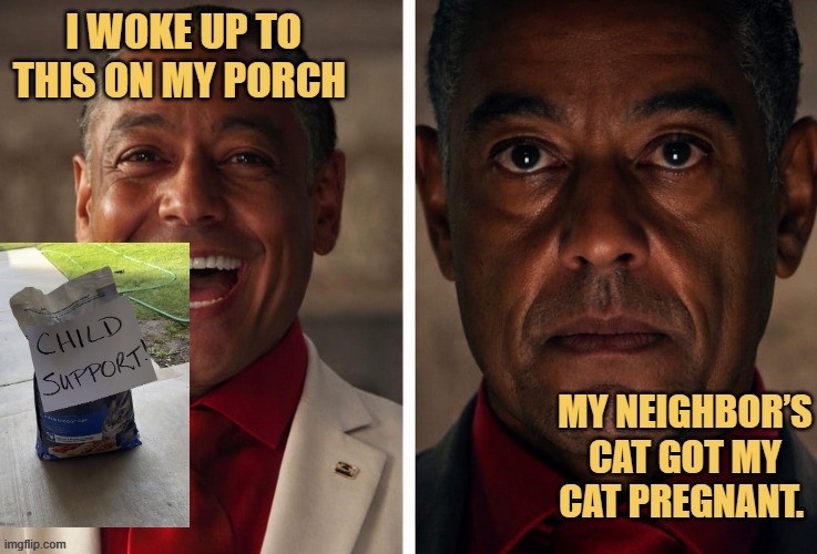 these savage cats meme