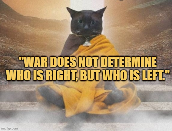 listen to wisdom cat meme