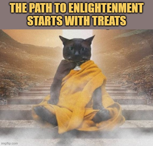 give me treats meme