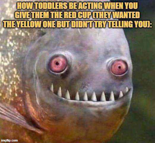 Confused toddler