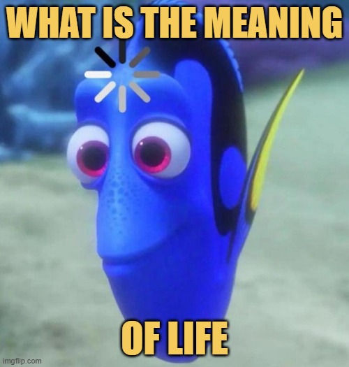 Why am I on this earth? Is it just a game?