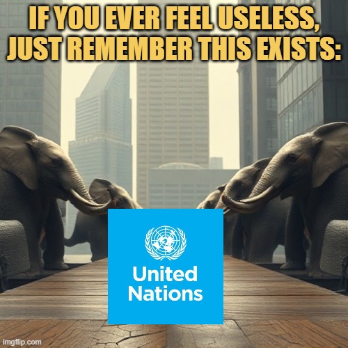 most useless organization ever meme