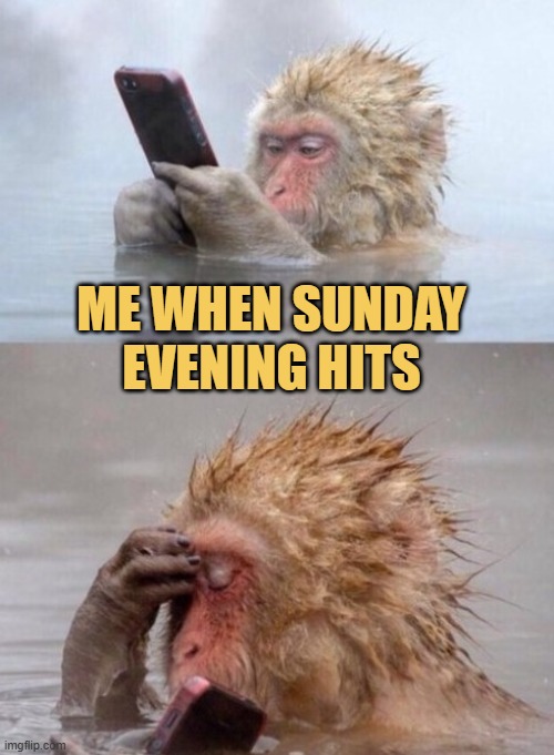 weekend is over meme