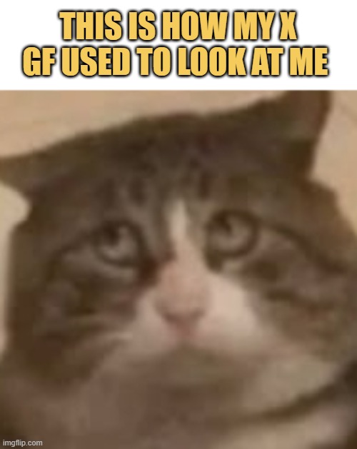 after she empty my bank account meme