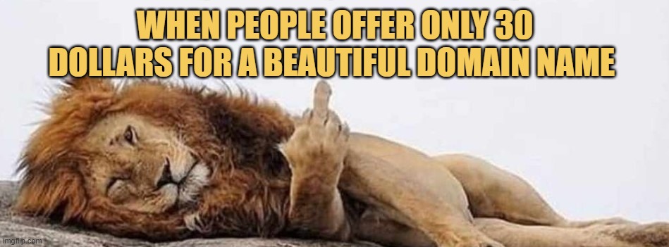at least offer 50 dollars lol meme