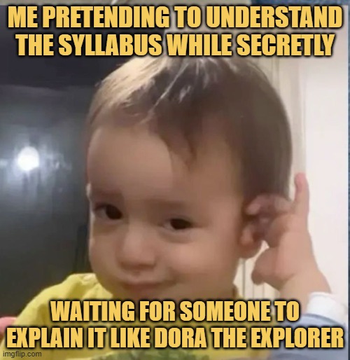 waiting for someone to explain it like Dora the Explorer.jpeg