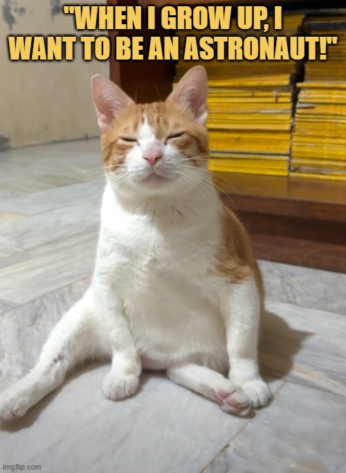 I dream while daysleeping