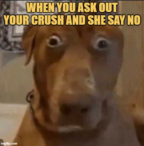 she has no interest meme