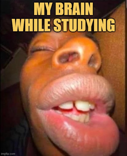 Brain error