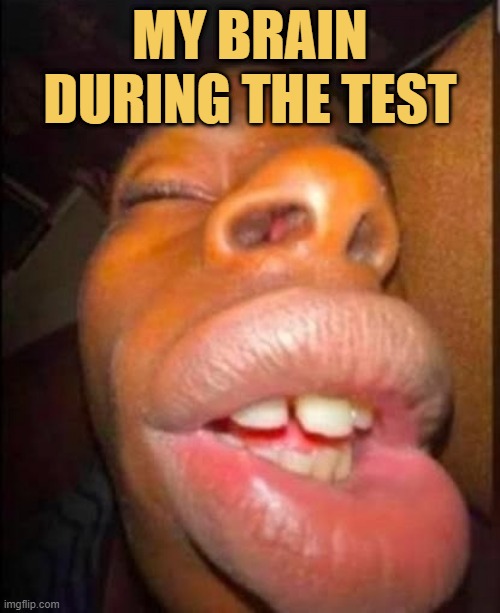 Brain error during test