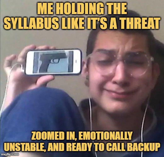 zoomed in, emotionally unstable, and ready to call backup.jpeg meme