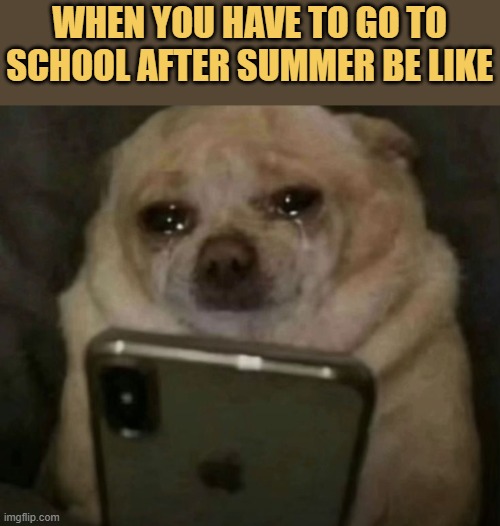 back to jail meme