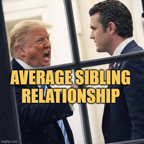 siblings be like meme