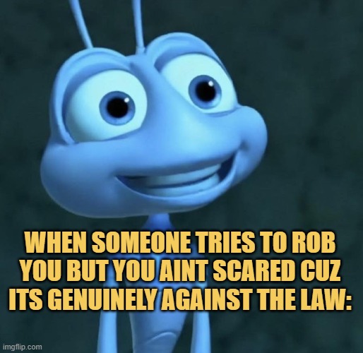 but then i realized that the law is useless itself meme