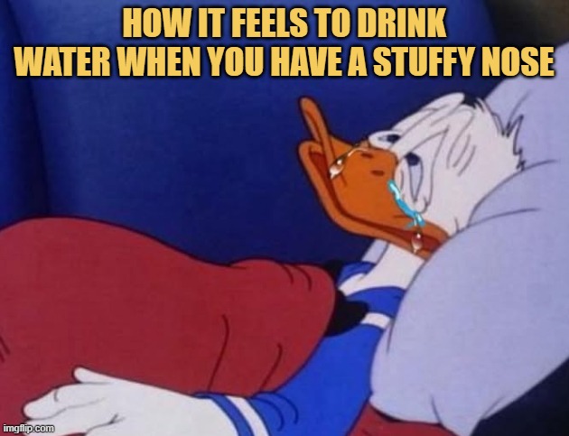runny nose moment meme