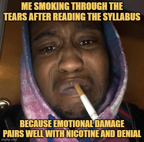 because emotional damage pairs well with nicotine and denial.jpeg meme
