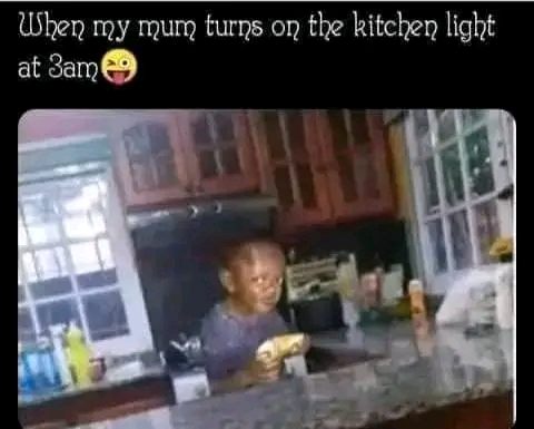 mum will be like ,guy what are you stealing there ? meme