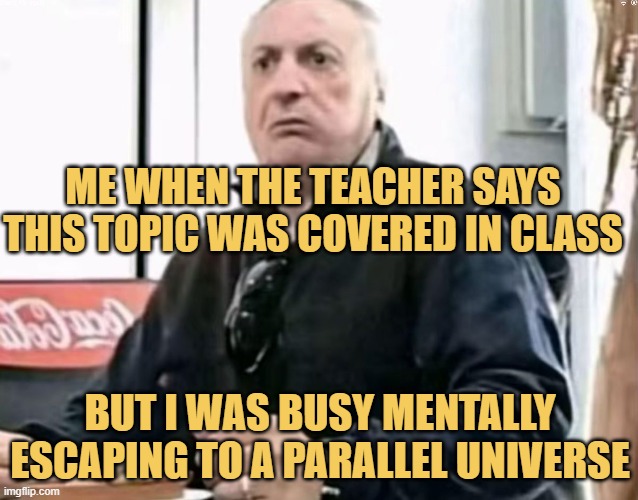but I was busy mentally escaping to a parallel universe.jpeg meme