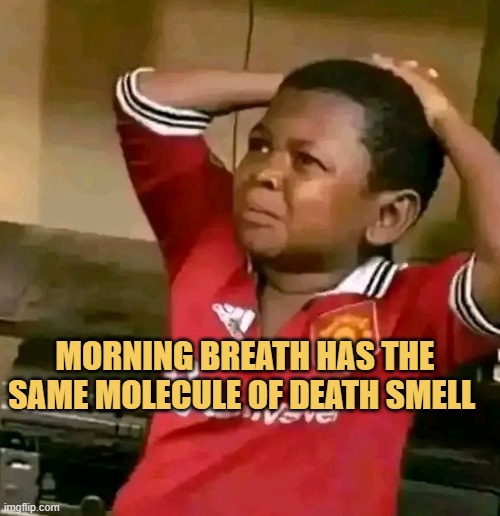 did you know? meme