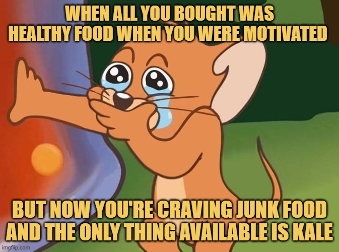 after checking fridge meme
