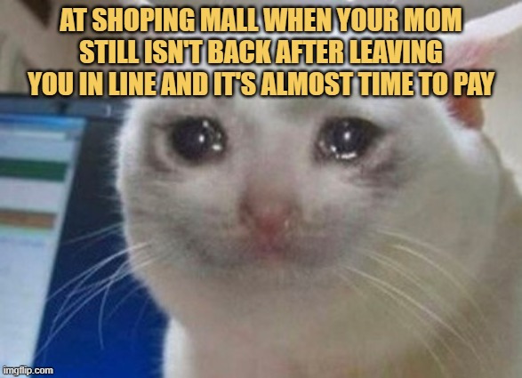 how much will it take