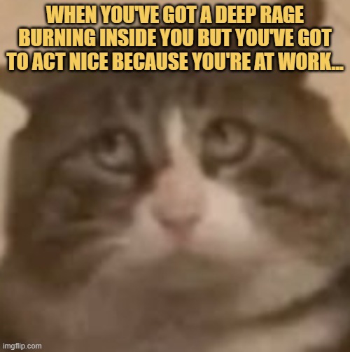 rage work