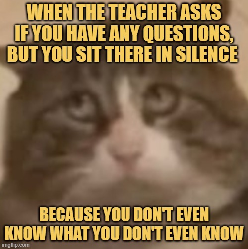 I am dumb